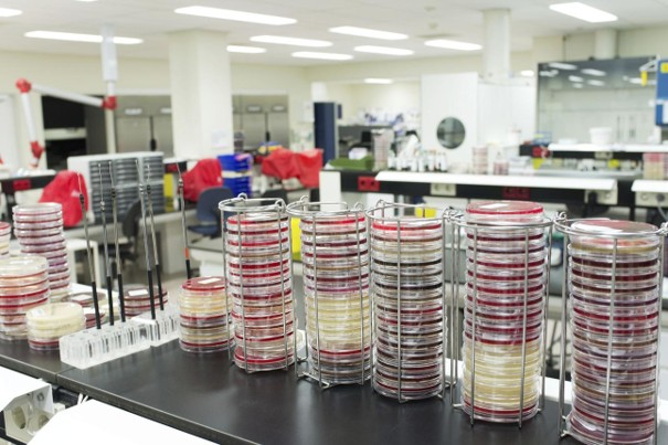 Les laboratoires de microbiologie se modernisent